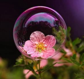 154891_597444716936199_189020302_n