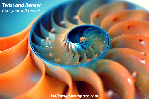 spiral shell2