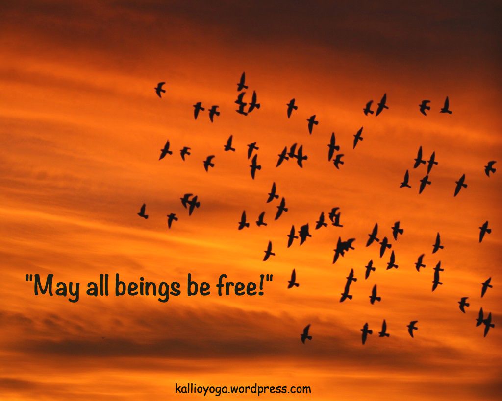 saturday community class